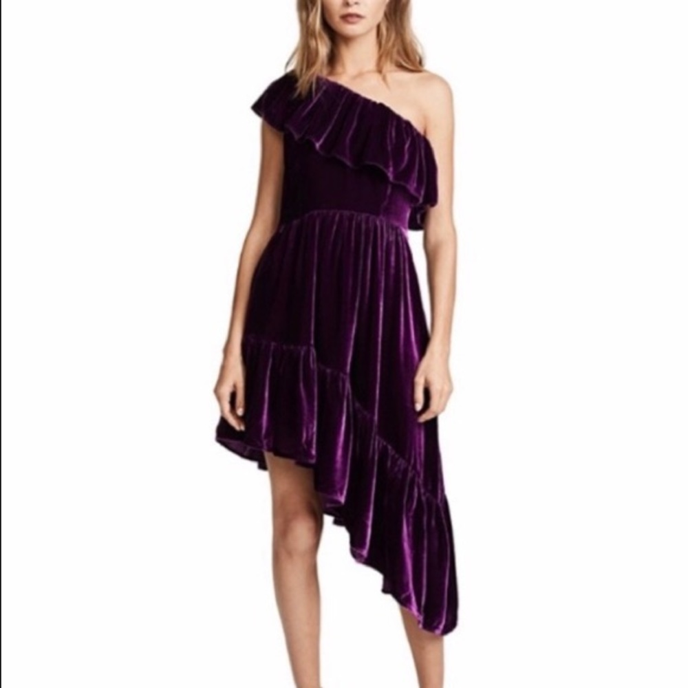 NWT Love Shack Fancy asymmetrical velvet dress